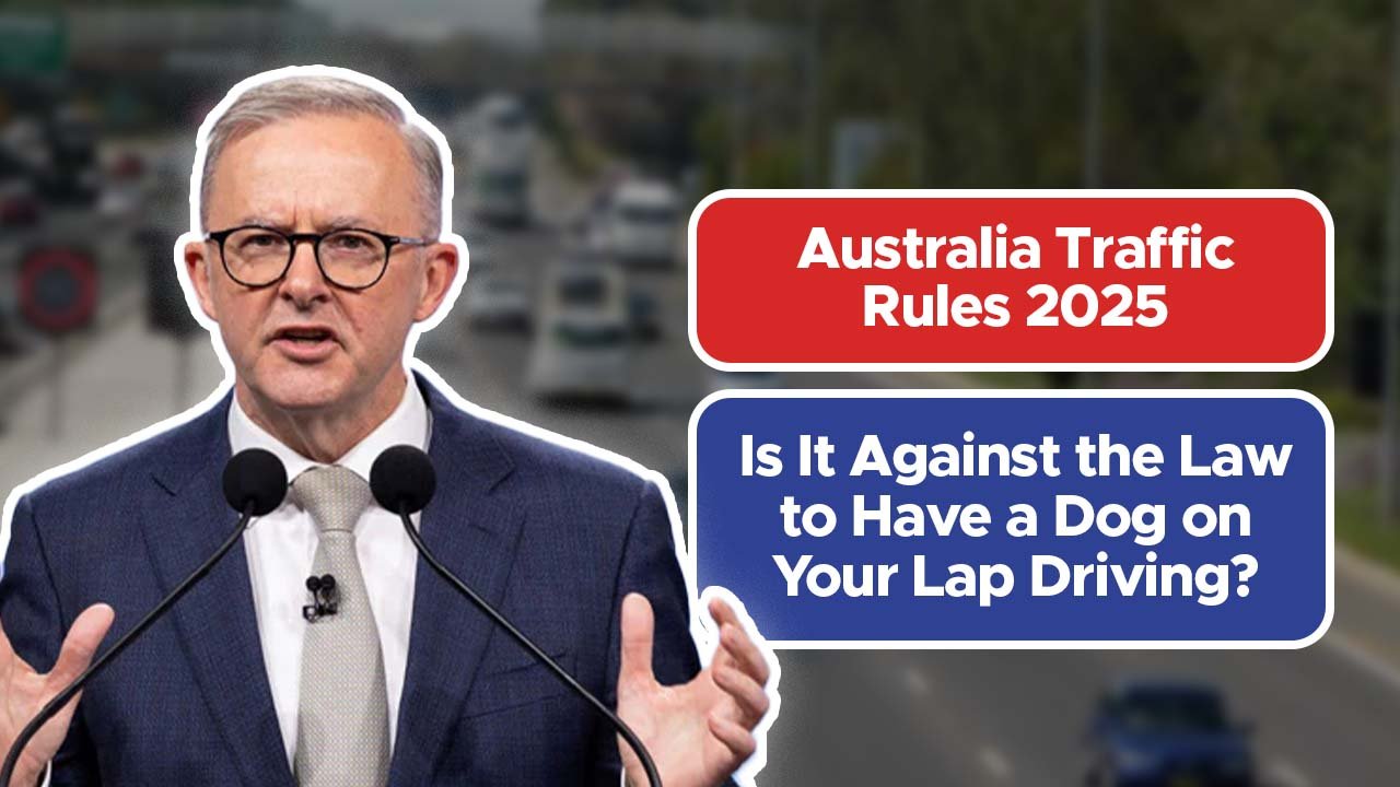 Australia Traffic Rules 2025: Is It Against the Law to Have a Dog on Your Lap Driving?